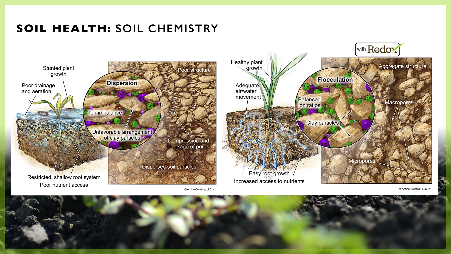 Структура почвы. Структурные и бесструктурные почвы. Soil structure. Soil состав.