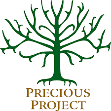 Logo for Precious Project Inc.