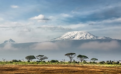 Mt Kilimanjaro Climb