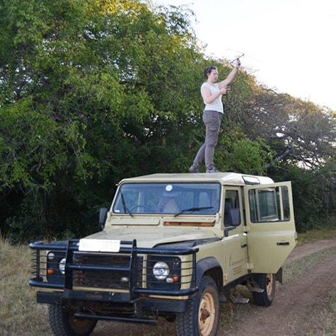 Volunteer elephant tracking conservation South Africa