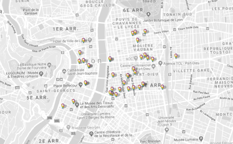 Cartographie réseau installé en juin 2019 ville de Lyon