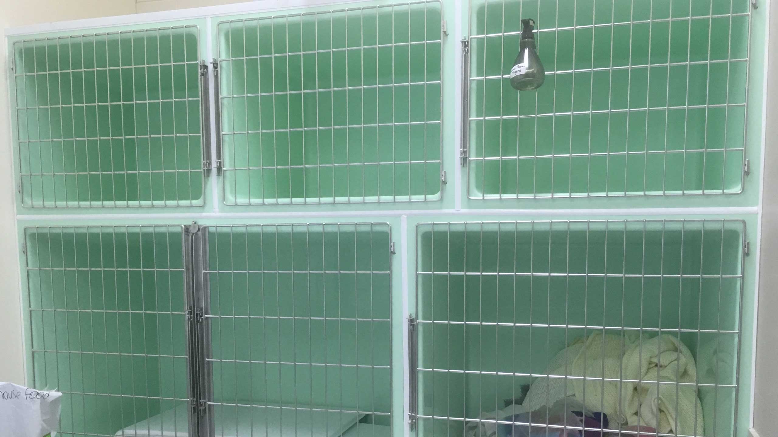 Creature Comfort Cages cage bank: 3 x Medium Dog Cages (top), 1 x Double Wide Dog Cage + 1 x Large Dog Cage (bottom)