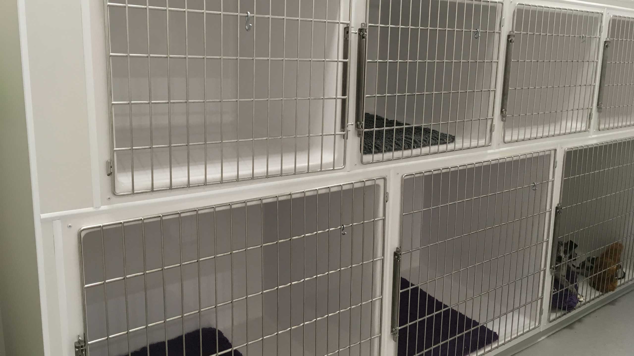 Creature Comfort Cages cage bank: 4 x Medium Dog Cages (top), 3 x Large Dog Cages (bottom)