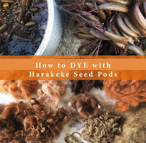 Natural dyeing with Harakeke seed pods