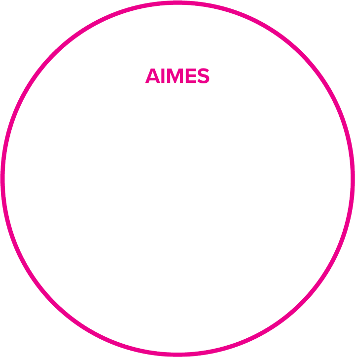 AIMES Emerging Talent & Scholarshop Award 2021