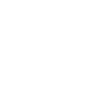 Property Development icon