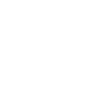 Project Management icon